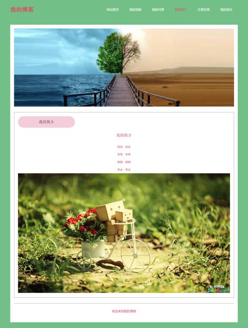 网页设计模板HTML代码工具：快速构建个人博客与企业展示网站